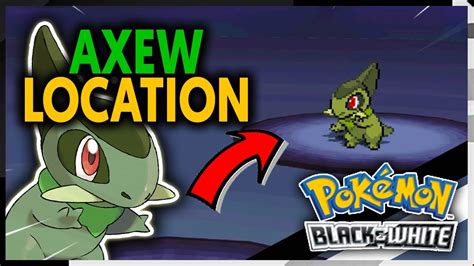 axew evolution level|where to catch axew in pokemon black.
